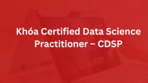 Khóa Certified Data Science Practitioner – CDSP