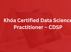 Khóa Certified Data Science Practitioner - CDSP