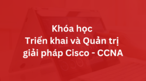 Khóa Học Triển khai và Quản trị mạng – CCNA
