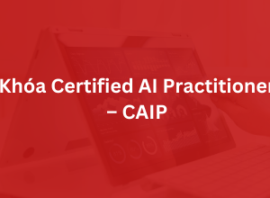 Khóa Certified Artificial Intelligence Practitioner - CAIP