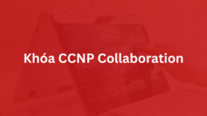 Khóa CCNP Collaboration