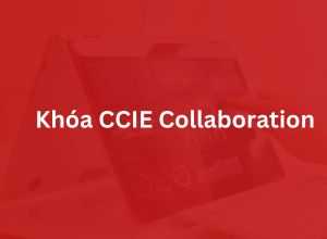 Khóa CCIE Collaboration