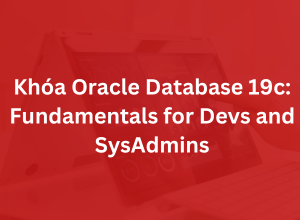 Khóa Oracle Database 19c: Fundamentals for Devs and SysAdmins