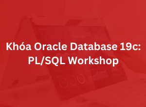 Khóa Oracle Database 19c: PL/SQL Workshop