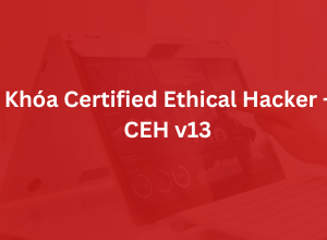 Khóa Học CEH v13 Tại Hà Nội – EC-Council Authorized