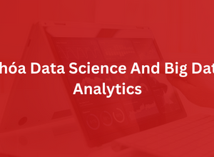 Khóa Data Science And Big Data Analytics