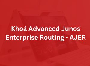 Khóa Advanced Junos Enterprise Routing - AJER