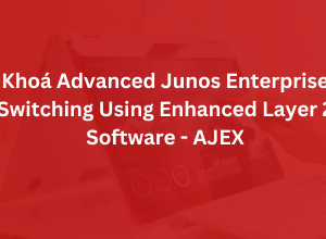 Khóa Advanced Junos Enterprise Switching Using Enhanced Layer 2 Software - AJEX