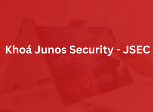 Khóa Junos Security - JSEC