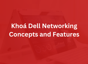 Khoá Dell Networking Concepts and Features