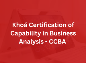 Khoá Certification of Capability in Business Analysis - CCBA