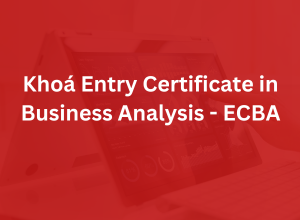 Khoá Entry Certificate in Business Analysis - ECBA