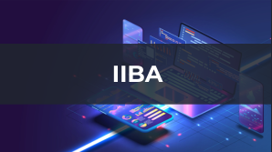 IIBA