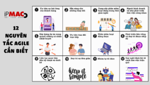 12 nguyên tắc Agile