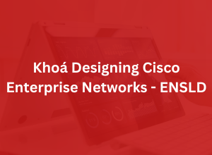 Khoá Designing Cisco Enterprise Networks - ENSLD