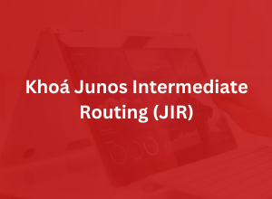 Khoá Junos Intermediate Routing (JIR)