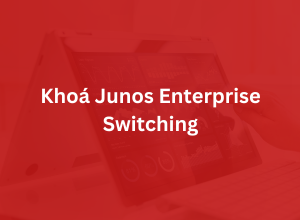 Khoá Junos Enterprise Switching