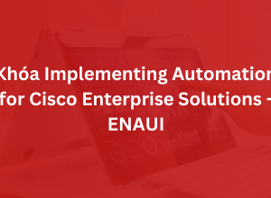 Khoá Implementing Automation for Cisco Enterprise Solutions - ENAUI